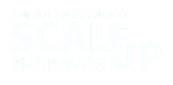 Empresa participante do Scale-Up Endeavor